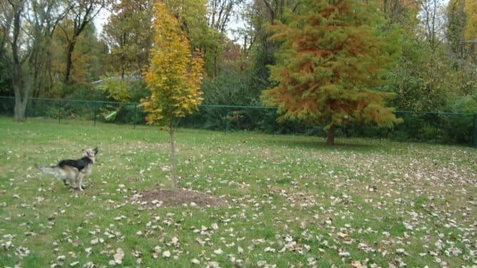 AF1QipMR4GSoqHKsIHJ ujBDhvrb4iiIR5hKd3s lRIWw1600 h1000 k no