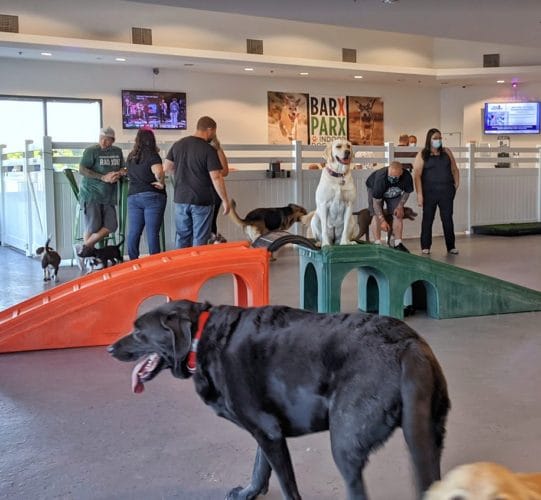 AF1QipMToRFl2oyZbqso blHMX1N05NuTuYolRFGrTfdw1600 h1000 k no