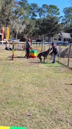 AF1QipMTwpwCqLHdRADcrYgqIYaEkfwW2 HikhcAQwK0w1600 h1000 k no