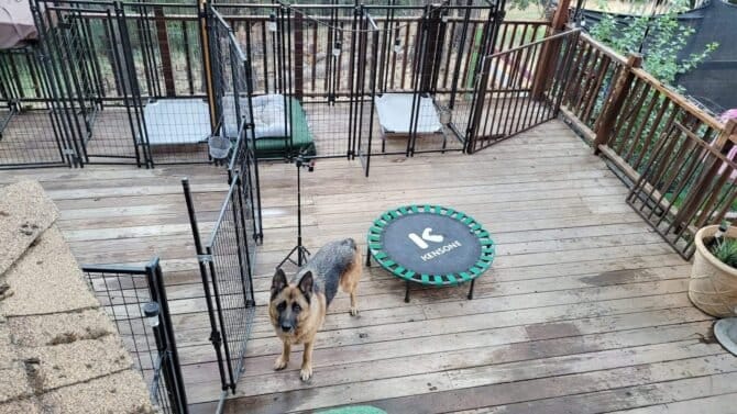 AF1QipMU62NGNBfhmavLBV1iv7r2aU7NO D1f2npVBP w1600 h1000 k no