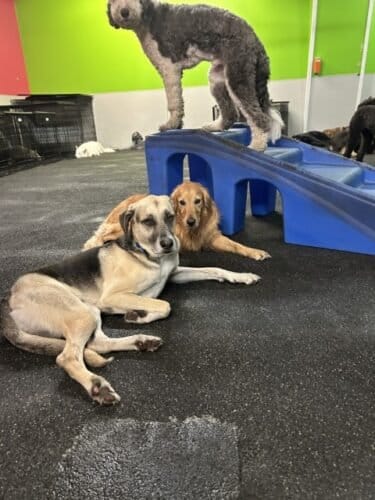 AF1QipMW8 zp3OE7Shj6Wh7I1OCBkZVNASOfjl2OaIiNw1600 h1000 k no