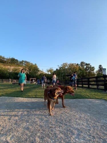 AF1QipMX vCXBALb0urxXeS I1wY7doK9MvxrnGi 6Wdw1600 h1000 k no