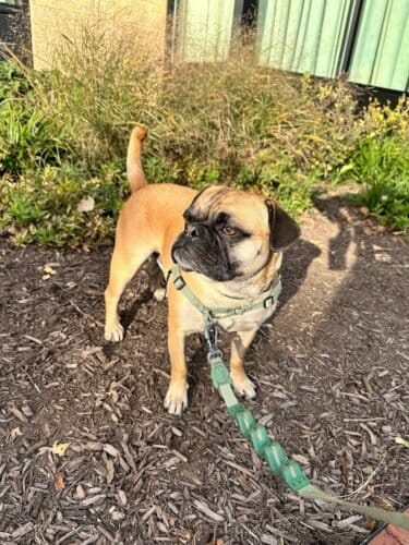 AF1QipMYODhZ4MIxBMv4ZAXmVFO3jMuJdvICrlXKSBXRw1600 h1000 k no