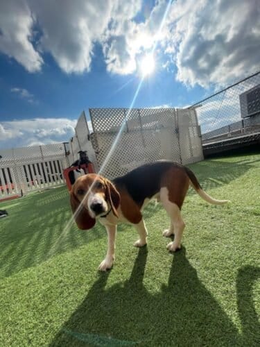 AF1QipMaXcgS5BUlgj3ccuscIn8qVxaxg5rPwb1w59Enw1600 h1000 k no