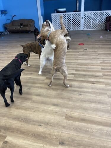 AF1QipMdKzK4g7g f6QuYQ13m6wdI51JFZRgAWk oCCAw1600 h1000 k no