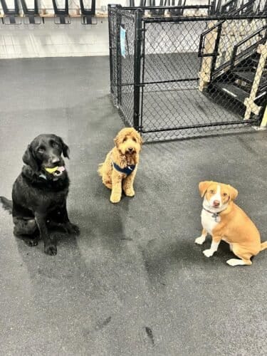 AF1QipMfTb207 Le6vYLiKMCdw8pARmSPhCuqqhbBCuYw1600 h1000 k no