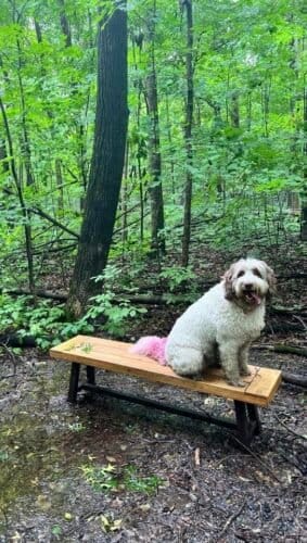 AF1QipMg3I9nectp brRsmFkhEV8ZYWHgYzMnCDmABlNw1600 h1000 k no