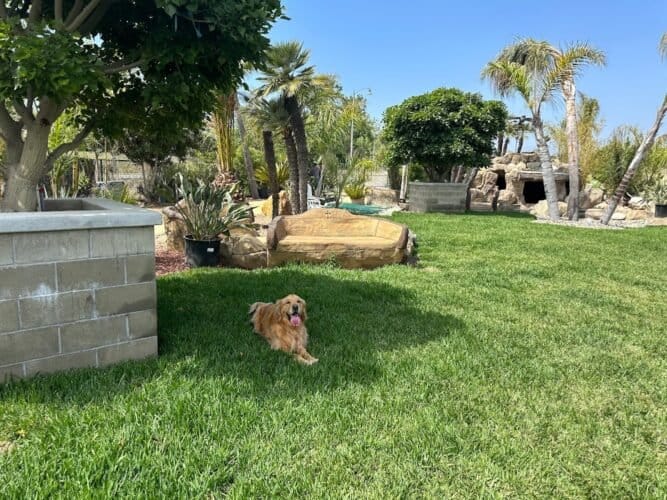 AF1QipMgvCC8JdgdhNlfPgJlBDjoyy7u1InzosCVy  jw1600 h1000 k no