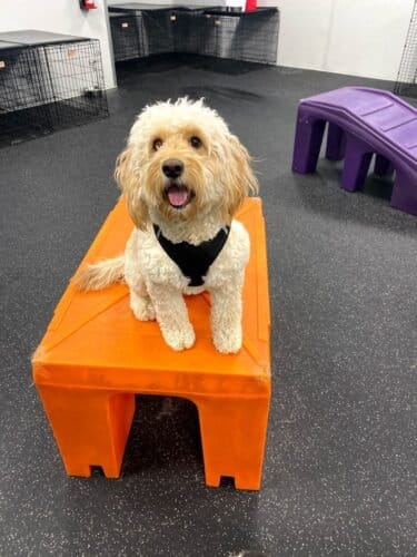 AF1QipMiOSWhzyCTpt8k4vULxV VdrgeD2FQiaQbwXGAw1600 h1000 k no