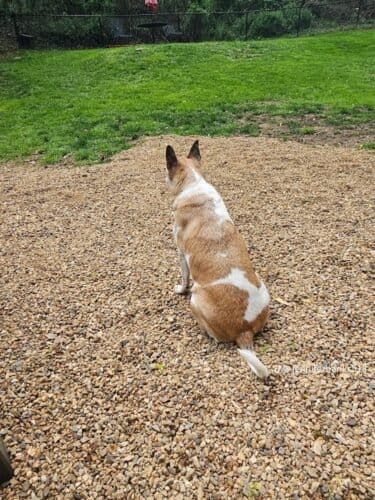 AF1QipMmBmIkZ0cqNIIV8JJoWczKq50UxIFF9q9OSEsTw1600 h1000 k no