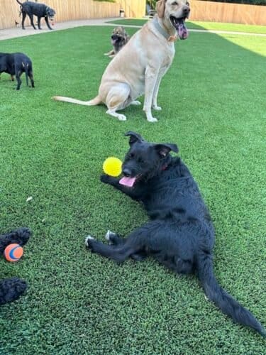 AF1QipMmII4b7v zVl q 0gQF sck2mPOwHSlAdQ3Pw1600 h1000 k no