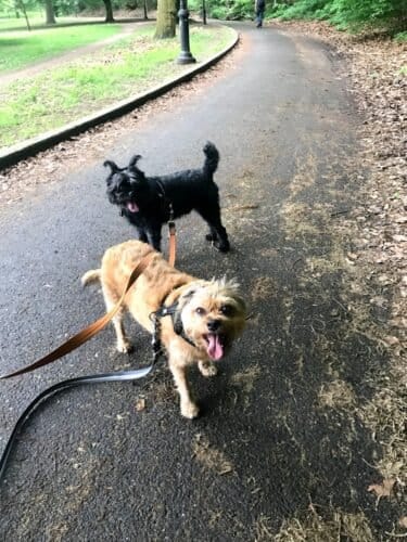 AF1QipMnnAUP4Tz83wuRBJq Lv bDI8xa PrGQRcL41Nw1600 h1000 k no