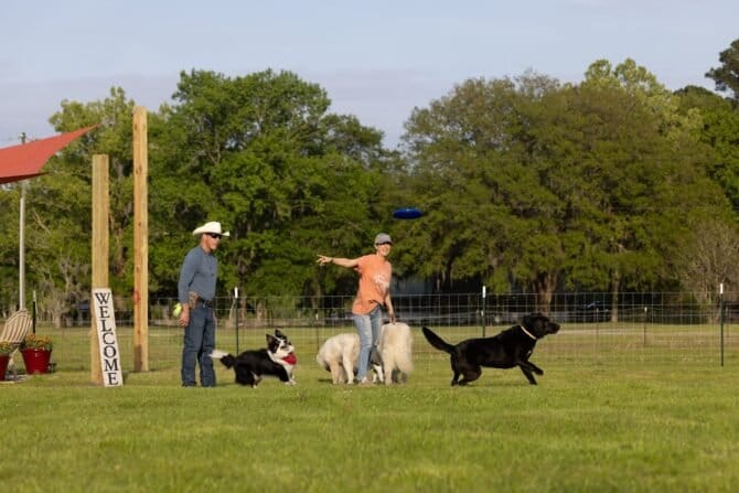 AF1QipMp2Au7KzESabofEBU7iRNVQampIhA HJulkMuFw1600 h1000 k no