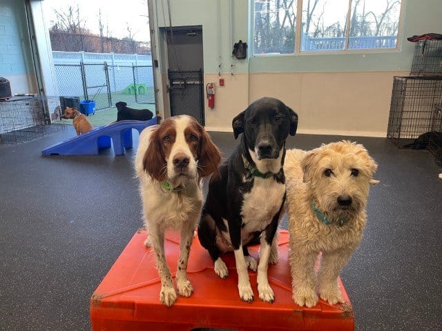 AF1QipMtpfaOSIyxQuJm kfO6tcieMwcIpCXQwnFO7n3w1600 h1000 k no