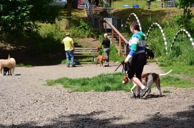 AF1QipMu9XITqUDfF2QKxa1Dpbs81l5qZsmxnmDIupJww1600 h1000 k no