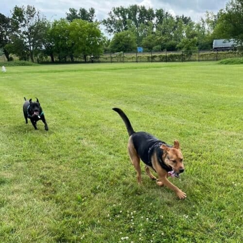 AF1QipMyneihYiuh pvzZEOQqn5cxH3BhXTiD5lTcYvxw1600 h1000 k no