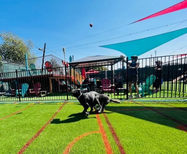 AF1QipMz xQzHpx9O4ahkwvfnrkagrmiFpzPU9l4FyUrw1600 h1000 k no