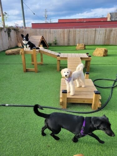 AF1QipN14LcWnsnV4Zeophjml LO6 YbwJ  ocYlcfc w1600 h1000 k no