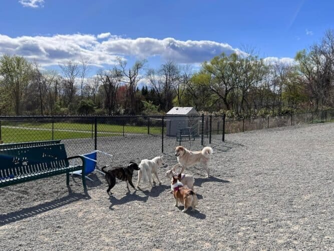 AF1QipN3 846CLp1qLLf s42WTIjFaN5ONHtyLlYmBT5w1600 h1000 k no