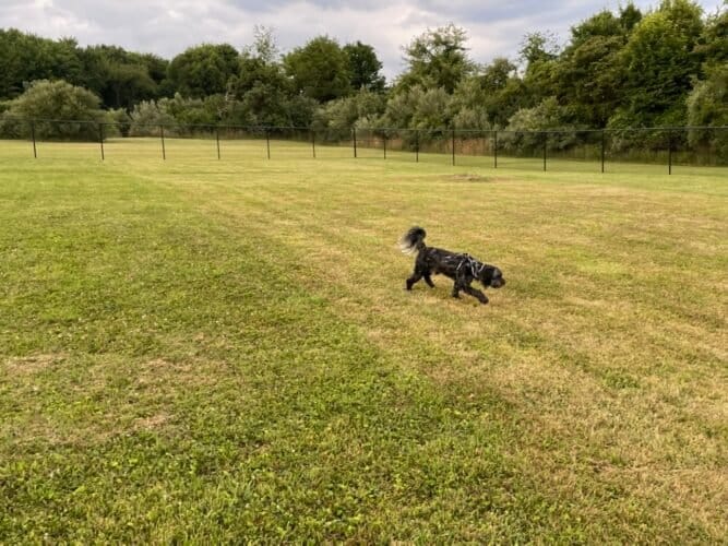 AF1QipN5CDCrgQEF2k JCwGtquikSUHTDib4hOp4mb1jw1600 h1000 k no