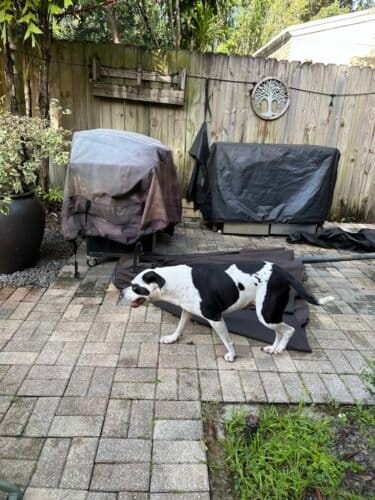 AF1QipN8qffPyUETbkk3y8AijMaiP6CsrO1Cb75HYq 2w1600 h1000 k no