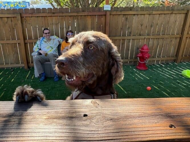 AF1QipNB5xZndYjcAwg8m03h0AuBAua rj63Mbu2pHYKw1600 h1000 k no