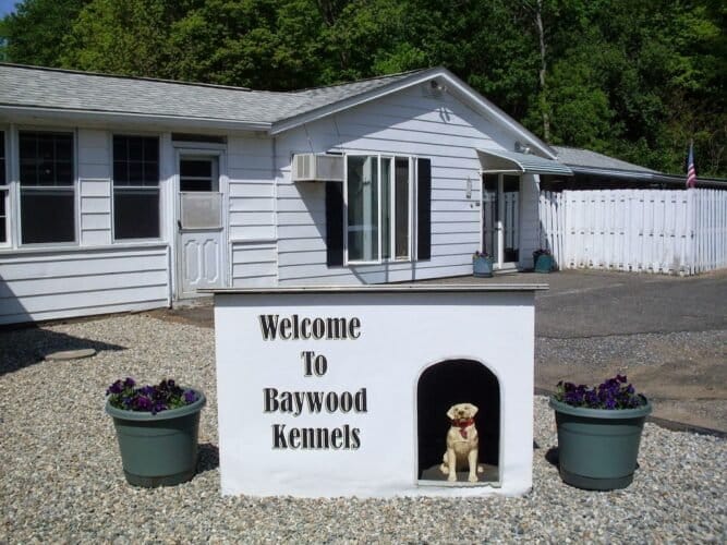 AF1QipNC1jQELxUSloPBBA0IEi4FECPZI4J3 GPTqlTIw1600 h1000 k no