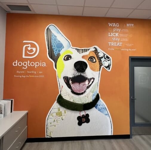 AF1QipNC jCETOUdfCKNBZuE4cOA799cDNUN7xBL4LIZw1600 h1000 k no