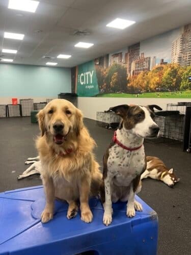 AF1QipNDj2AO OIVlPKTiANIAHNRjt9ZttbikrXpMKtiw1600 h1000 k no