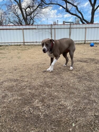 AF1QipNEXCATdNf8OYNel6Emu8PjJMfG5PkzkJCOfGaqw1600 h1000 k no