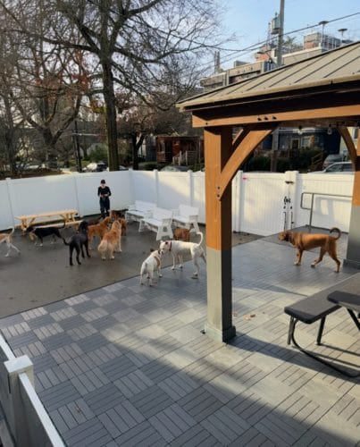 AF1QipNJFT5Vz 4EsC2sNnptKpk8K4QiH NjIzm7mqzCw1600 h1000 k no