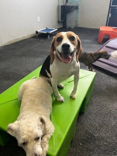 AF1QipNJH803PrWzNvSyJnDP9llsf3adwz9jUYmKb01Rw1600 h1000 k no