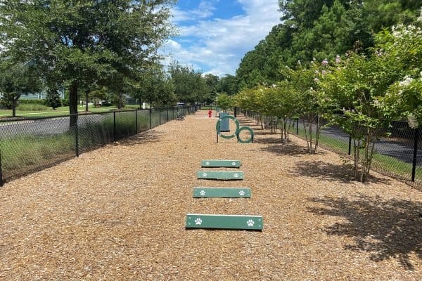 AF1QipNKPOIQZKhERjuK lkcqVm0rvoCiZlmNsmNQBNRw1600 h1000 k no