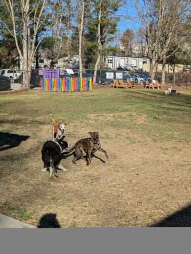 AF1QipNLu3XgROj  lv6TxgpeevREW9fw76SQuTzuUJfw1600 h1000 k no