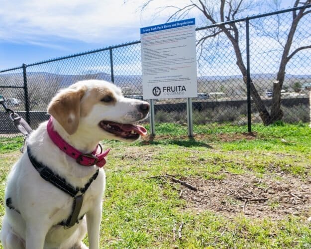 AF1QipNPTXNbwPHMw6j8GhA4qJMYtql1VeiqGV1aAVAkw1600 h1000 k no