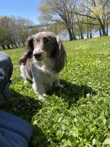 AF1QipNQl9uqQi46 2mk6WWDoHgiURMm JdPjhQ6LWA5w1600 h1000 k no