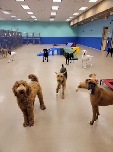 AF1QipNQxjL8ifvCpG8BqjxKsjctIvbHU 2tk6b3tpPow1600 h1000 k no