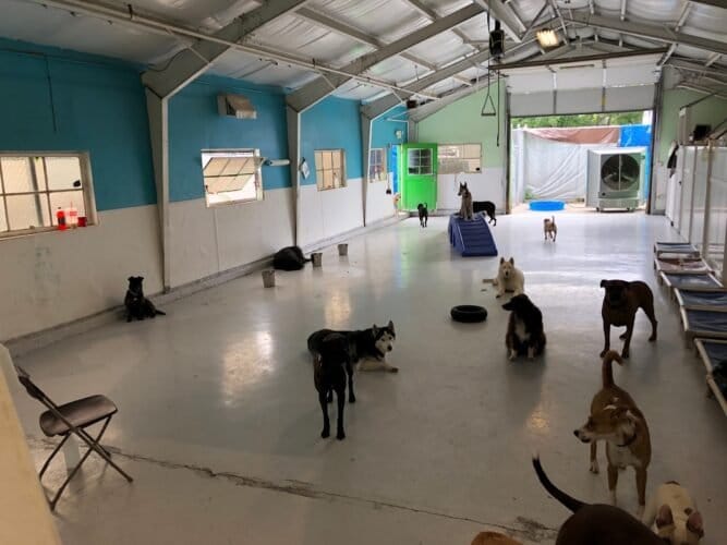 AF1QipNTo3lMARUjKwnwEFJ4rzWuqgGFbcnV4wi2pLKUw1600 h1000 k no