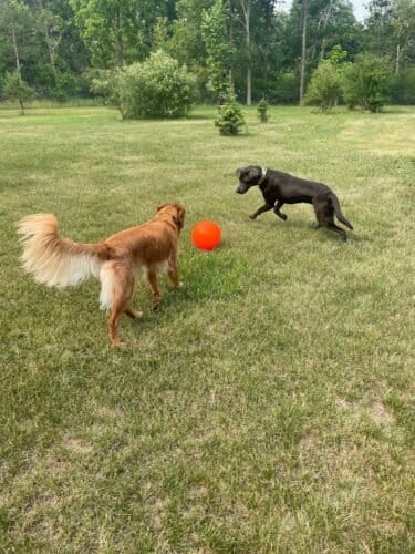 AF1QipNXZbNVpSC2SL8DHNPk3HVF9YUlNj9lEZMqT9ZLw1600 h1000 k no