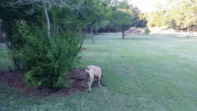 AF1QipNXzlvwrUjGmZEj7EEdIyoPGRe GuiKLGuAzBaww1600 h1000 k no