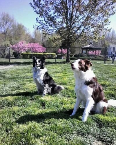 AF1QipN nTXscXKUujdCQKokoP63HiHKXR FxrJzWPGZw1600 h1000 k no