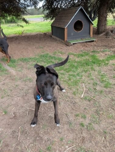 AF1QipNbj6KE1LBhReqQhk1pCyXekNS9A3SdnUWibjOqw1600 h1000 k no