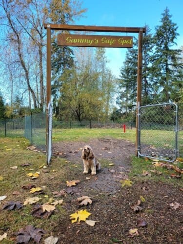 AF1QipNbnwrHFwjQsAxz6u ZLecvBu4vD64rwOcKgmAVw1600 h1000 k no