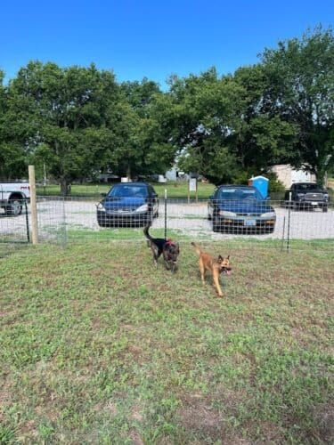 AF1QipNeqNbR QUcJAb9rC94Lhvkh2 2xJrCTdhfUyU1w1600 h1000 k no