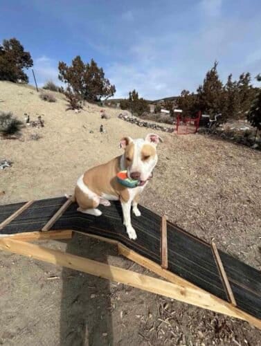 AF1QipNfq49aDQEBEccyY1 OyFT70YTLOjkThPnd1DvRw1600 h1000 k no