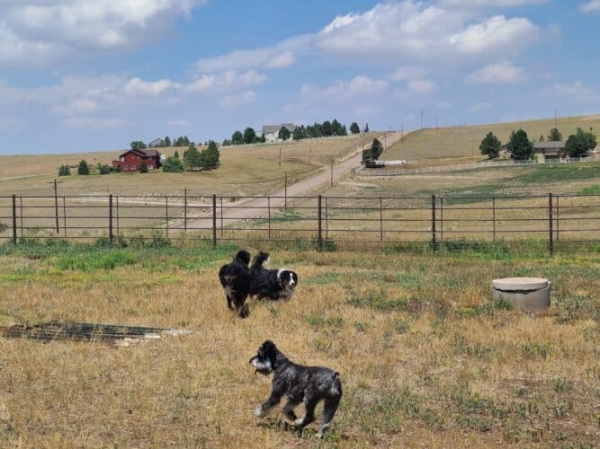 AF1QipNfvIaroWqxNZnHG E Qid3ByxGhSlWtJbMOh1dw1600 h1000 k no