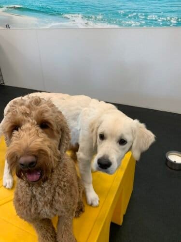 AF1QipNgh0kYISHOBb0QV3q5gUaJvAU30aV HlTpi j7w1600 h1000 k no