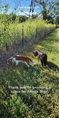 AF1QipNitXG4keaUsMpOaUC6 2uawZMDg0qSmQeNUO5Sw1600 h1000 k no