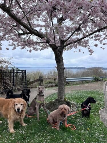 AF1QipNjcdH21 cb2BCLUHlGPzftWWw3EIQF51yXwxzyw1600 h1000 k no