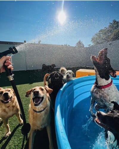 AF1QipNjePdOp5paJO3VlpjogLXjovgyxvr0YUFal juw1600 h1000 k no